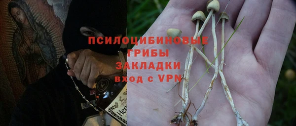 стафф Нефтекумск