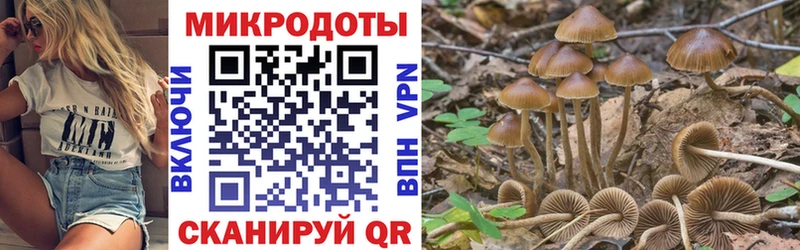 Галлюциногенные грибы Cubensis Навашино