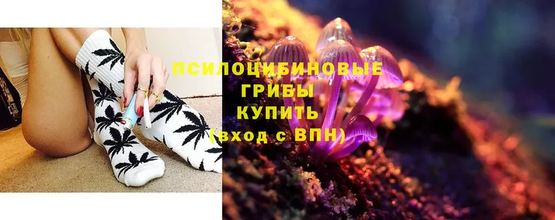 Псилоцибиновые грибы MAGIC MUSHROOMS  kraken онион  Навашино 