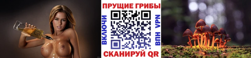 Галлюциногенные грибы мухоморы  Навашино 
